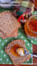 Fette biscottate semintegrali, con lo yogurt a lievitazione naturale