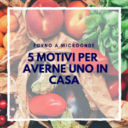 5 motivi per avere un microonde in casa e consigli di utilizzo