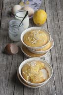 Tortine allo yogurt