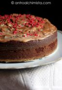 Mississippi Mud Cake