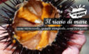 Il riccio di mare - come pescarlo e mangiarlo
