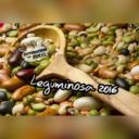 Leguminosa 2016: un evento a Napoli da non perdere