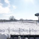 La Neve se ne frega. La ricetta della Crostata di Cioccolata.