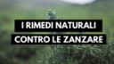 I rimedi naturali contro le zanzare