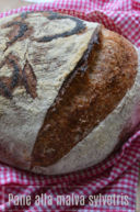 Pane alla malva cotto in pentola