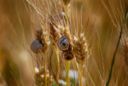 Storie, Persone e Materie Prime: il Salento oltre la natura