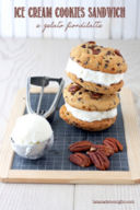 Ice cream cookies sandwich e gelato Fiordilatte