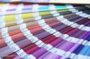 Hecce tre, la scelta dei colori dei muri