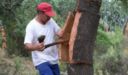 Incubo tappi di sughero che danneggiano il vino, come uscirne?