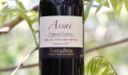 Produttori, un vino al giorno: Chianti Classico Gran Selezione Assai 2013 Terra di Seta