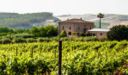 Tenuta Cuffaro