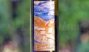 Produttori, un vino al giorno: Collio Pinot Grigio 2018 – La Bellanotte