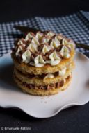 Torta bicolore ricetta