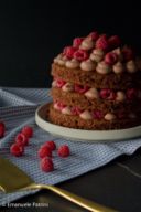 Torta cioccolato e lamponi ricetta