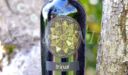 Produttori, un vino al giorno: Trinus 2015 – Cantine DECANTO