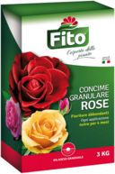 Fondi di caffè come concime per rose