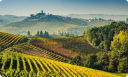 Le 15 più gustose strade dei vini e dei sapori in Italia, da gustare con calma, percorse da vigneti.