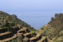 Ricostruiamo i muretti a secco delle Cinque Terre!