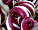 risotto con radicchio trevigiano e scamorza affumicata