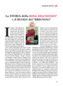 Conoscete la Rosa dell'Isonzo?