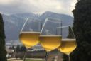 Birra artigianale in Trentino