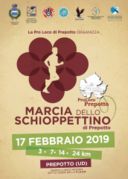 Marcia dello Schioppettino fra le vigne