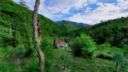 Bed & Breakfast nel verde della Toscana