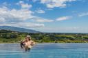 Piscina riscaldata con vista vigneti a Ca' del Poggio