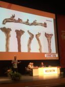 Marco Simonit unico relatore italiano al Symposium di Logrono