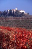 Cantine Aperte a San Martino