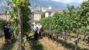 Vino biologico in Trentino e sperimentazione FEM