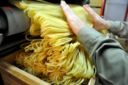 Pasta: come sceglierla e decidere se è “di qualità”