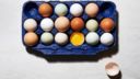 15 uova, italiane, bio e gourmet, senza rivali