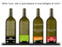 C’è una frode nel vino italiano, alterato con lo zucchero