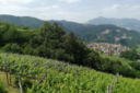 Trento DOC: i 5 vini da provare per capire lo spumante Metodo Classico trentino