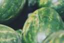 Come scegliere l’anguria: guida all’acquisto per disillusi dal cocomero