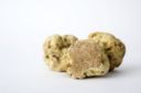 Fiera Internazionale del Tartufo Bianco d’Alba: la 91esima edizione è dedicata alla sostenibilità