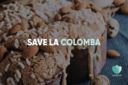 Sprechi alimentari: Too Good To Go lancia l’iniziativa #SaveLaColomba