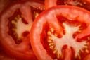 Frodi alimentari: in Sicilia e Calabria falsa indicazione Igp per i pomodori