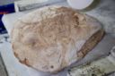 Il pane di Cerchiara e il panificio Monti: la storia di un’eccellenza calabrese