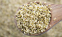 Alla scoperta del Freekeh, l’antico grano verde libanese