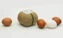 Biodegrapack: il packaging alimentare che si può piantare
