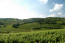 Enjoy Collio Experience mostra degustazioni